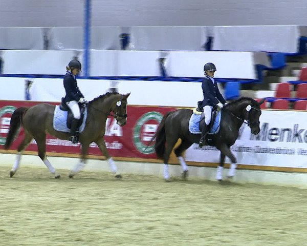 Hallenchampionat Vechta 2015