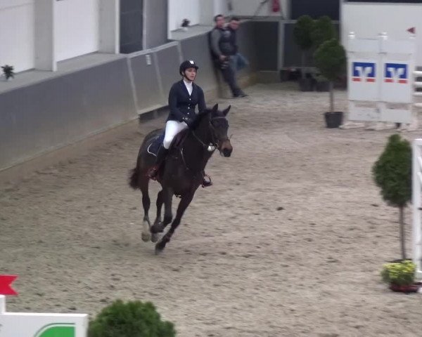 Reitturnier Mönchengladbach-Abtshof 2015
