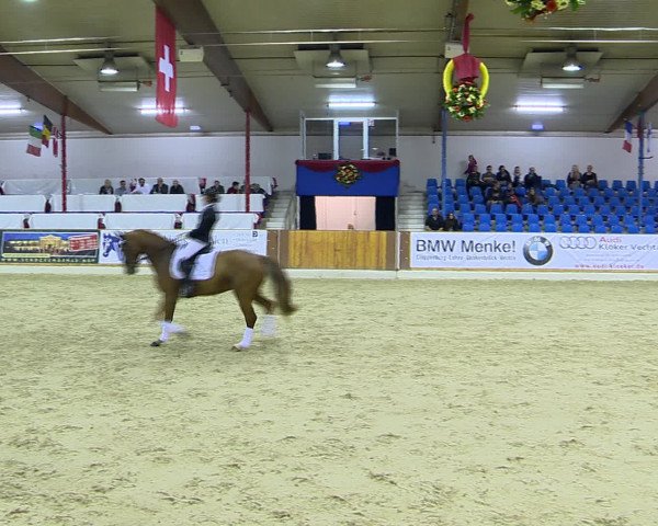 Hallenchampionat Vechta 2015