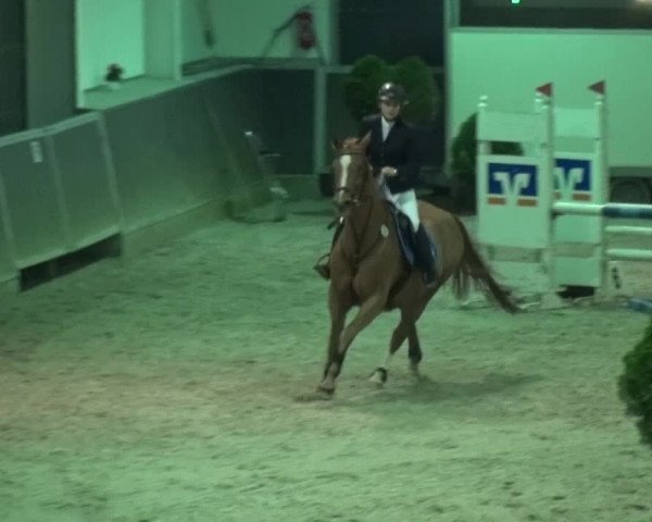 Reitturnier Mönchengladbach-Abtshof 2015