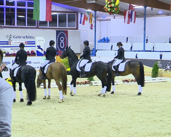 Hallenchampionat Vechta 2015