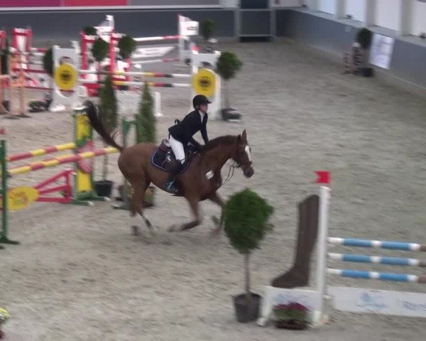 Reitturnier Mönchengladbach-Abtshof 2015
