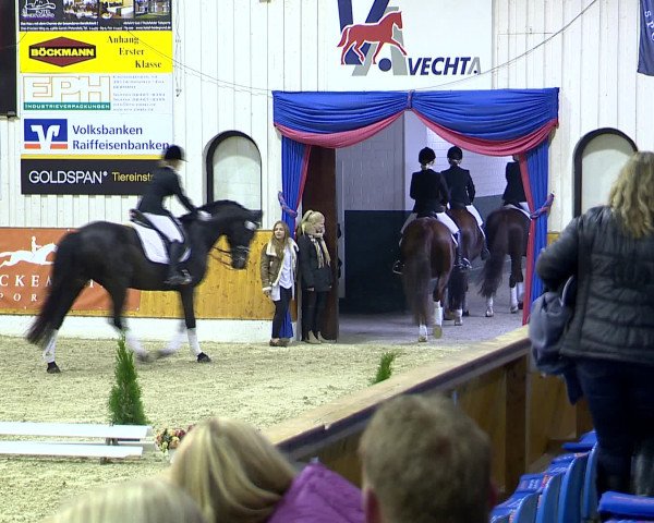 Hallenchampionat Vechta 2015
