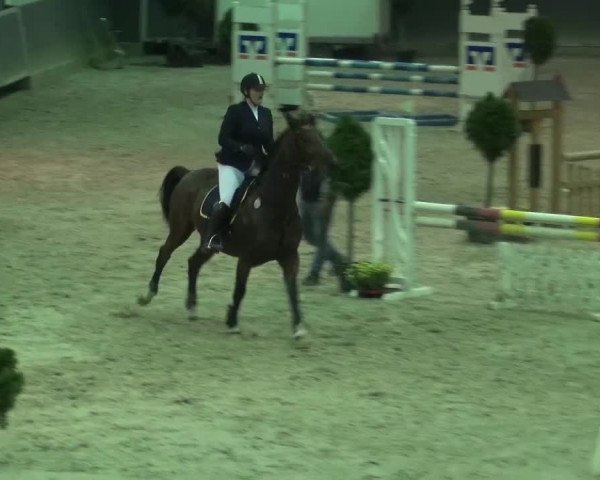 Reitturnier Mönchengladbach-Abtshof 2015