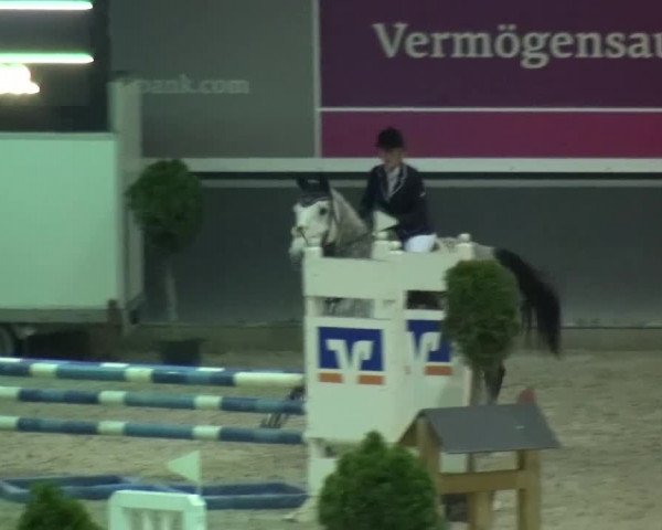 Reitturnier Mönchengladbach-Abtshof 2015