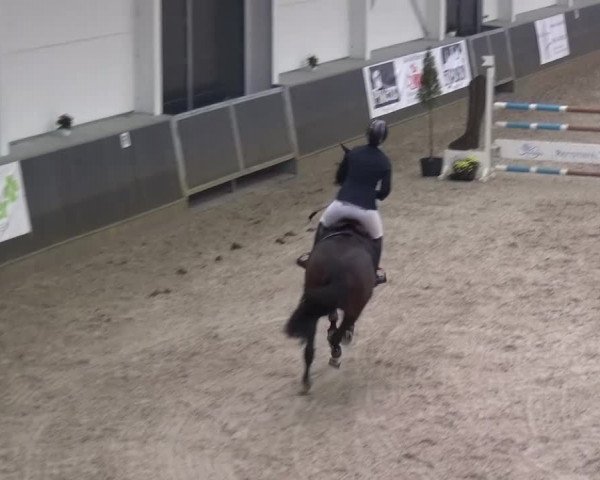 Reitturnier Mönchengladbach-Abtshof 2015