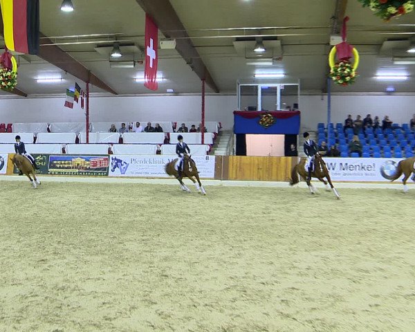 Hallenchampionat Vechta 2015