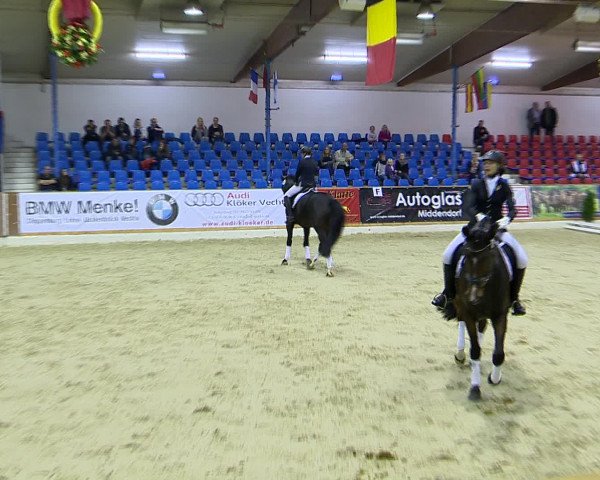Hallenchampionat Vechta 2015