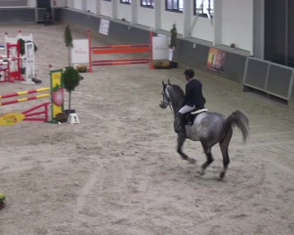 Reitturnier Mönchengladbach-Abtshof 2015