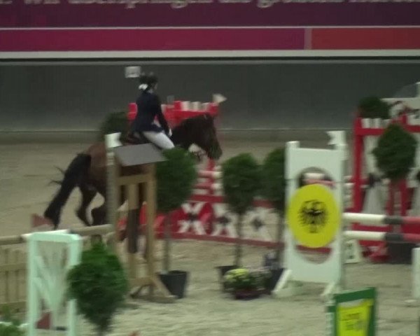Reitturnier Mönchengladbach-Abtshof 2015
