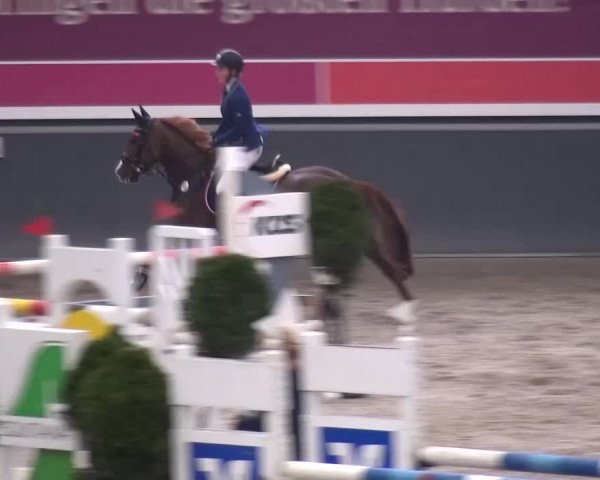 Reitturnier Mönchengladbach-Abtshof 2015