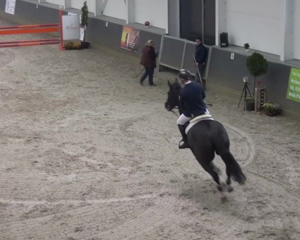Reitturnier Mönchengladbach-Abtshof 2015