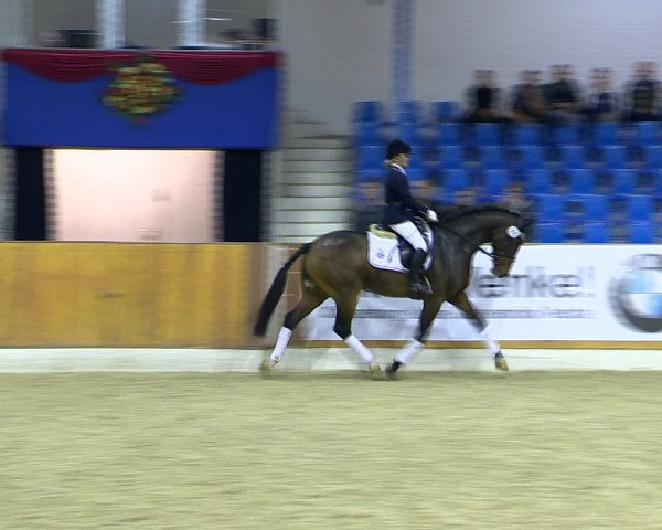Hallenchampionat Vechta 2015