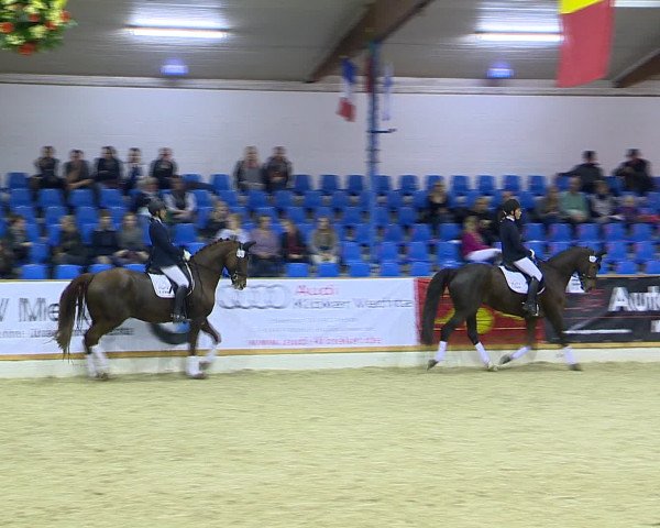 Hallenchampionat Vechta 2015
