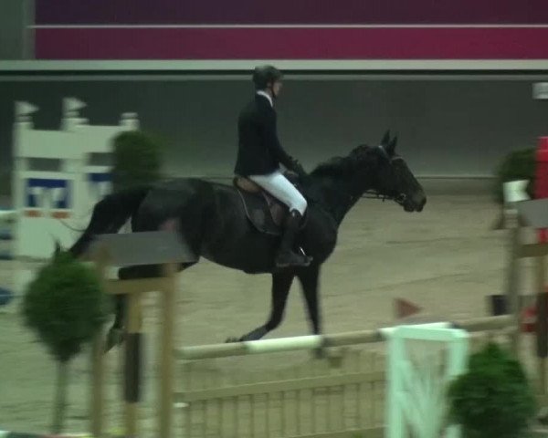 Reitturnier Mönchengladbach-Abtshof 2015