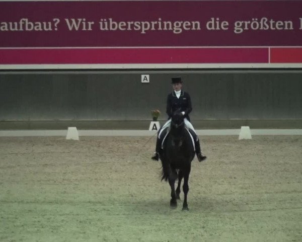 Reitturnier Mönchengladbach-Abtshof 2015