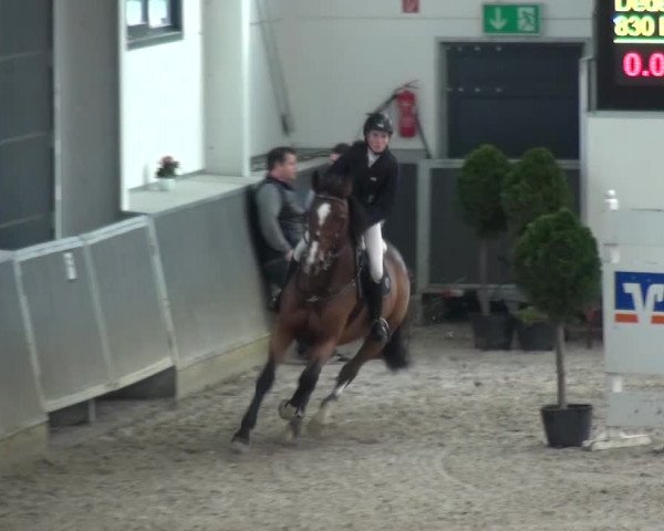 Reitturnier Mönchengladbach-Abtshof 2015