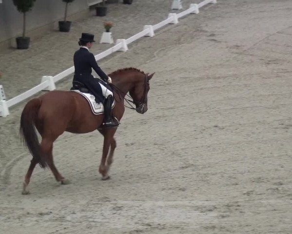 Reitturnier Mönchengladbach-Abtshof 2015