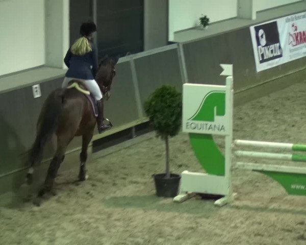 Reitturnier Mönchengladbach-Abtshof 2015