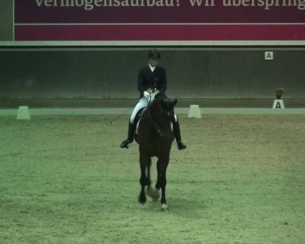 Reitturnier Mönchengladbach-Abtshof 2015