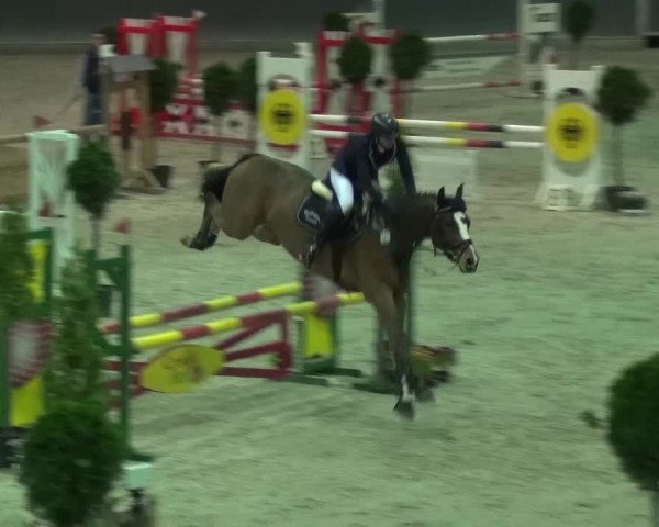 Reitturnier Mönchengladbach-Abtshof 2015