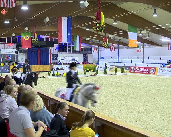 Hallenchampionat Vechta 2015