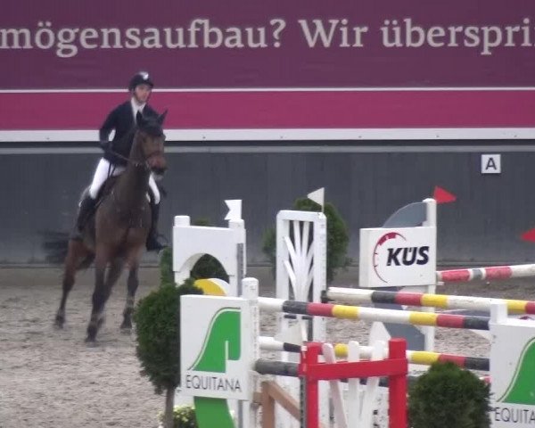 Reitturnier Mönchengladbach-Abtshof 2015