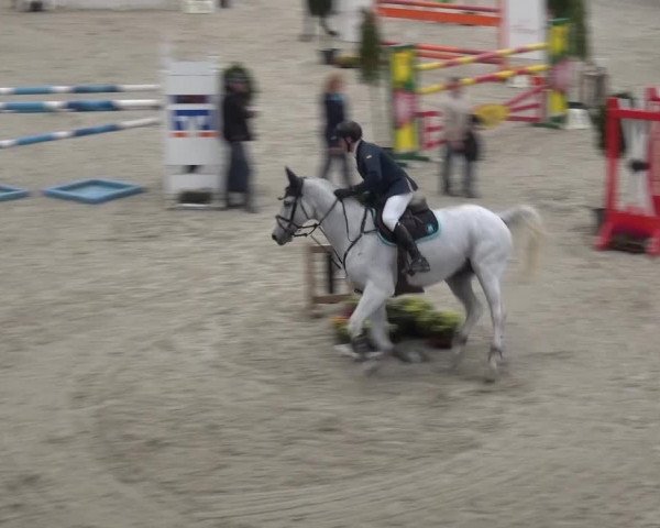 Reitturnier Mönchengladbach-Abtshof 2015