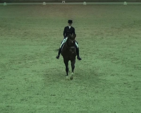 Reitturnier Mönchengladbach-Abtshof 2015