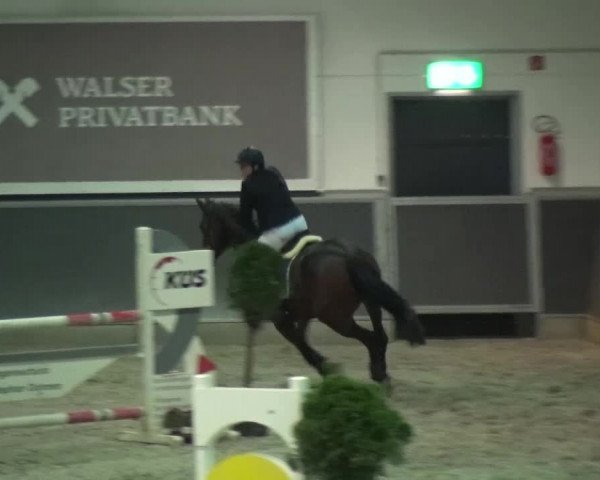 Reitturnier Mönchengladbach-Abtshof 2015