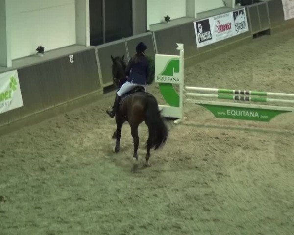 Reitturnier Mönchengladbach-Abtshof 2015