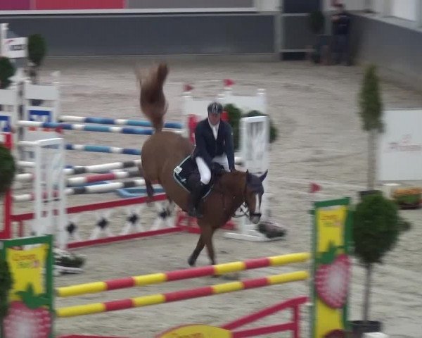 Reitturnier Mönchengladbach-Abtshof 2015