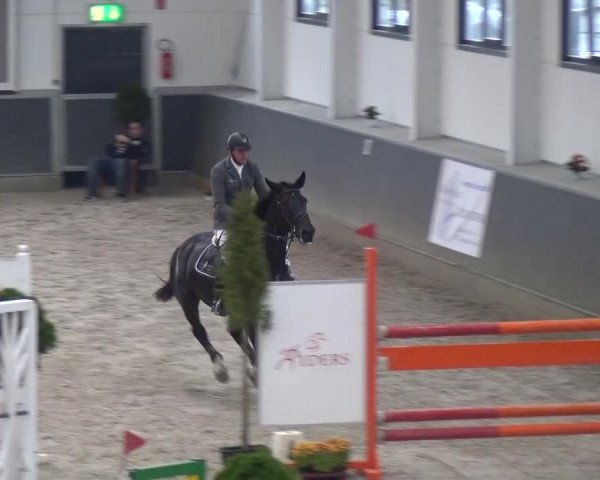 Reitturnier Mönchengladbach-Abtshof 2015