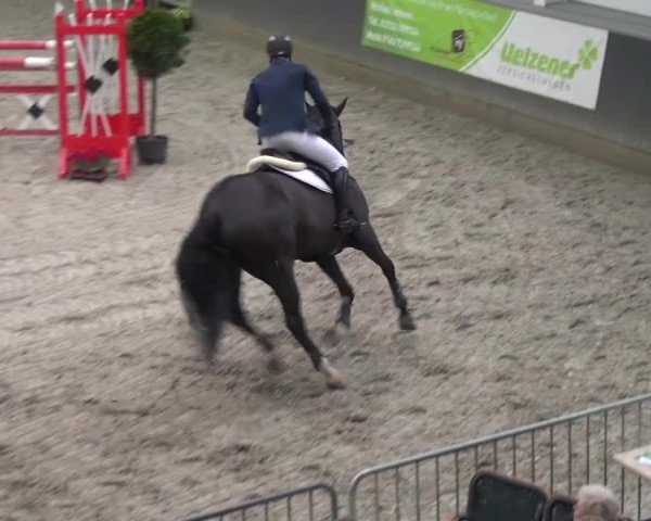 Reitturnier Mönchengladbach-Abtshof 2015
