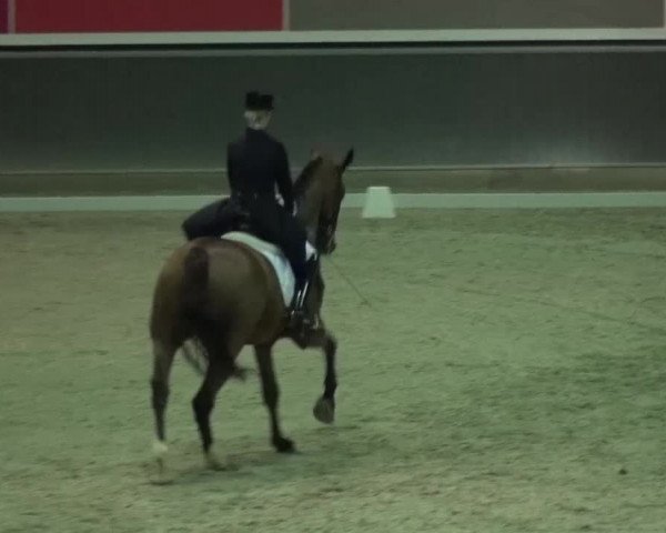 Reitturnier Mönchengladbach-Abtshof 2015
