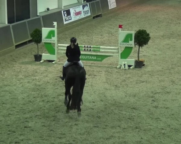 Reitturnier Mönchengladbach-Abtshof 2015