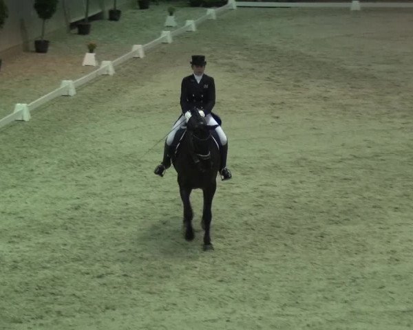 Reitturnier Mönchengladbach-Abtshof 2015