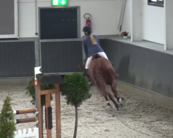 Reitturnier Mönchengladbach-Abtshof 2015