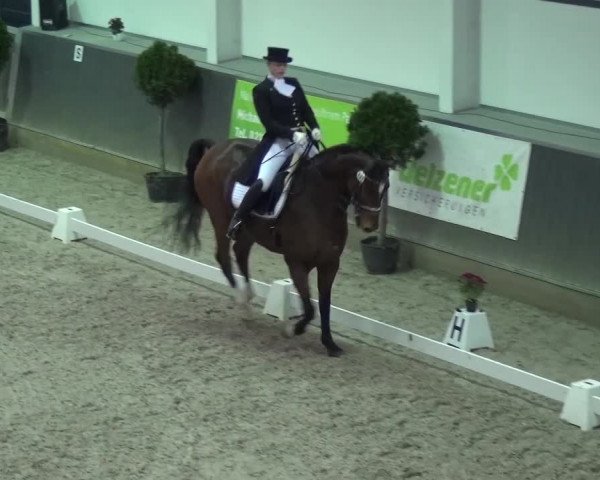 Reitturnier Mönchengladbach-Abtshof 2015