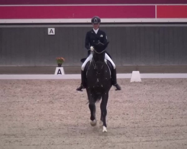 Reitturnier Mönchengladbach-Abtshof 2015