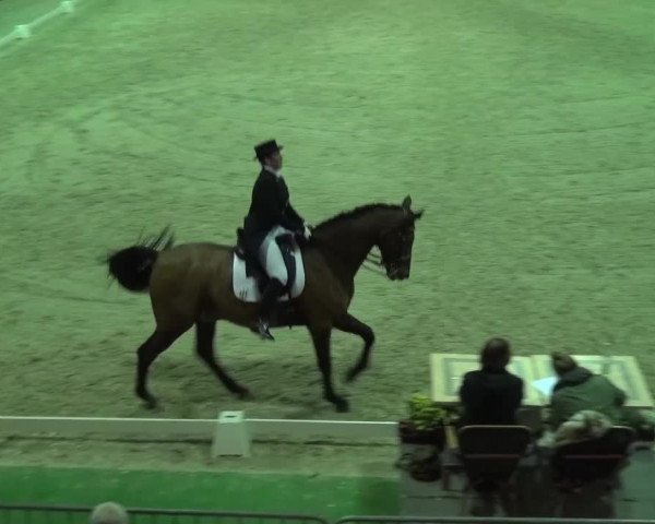Reitturnier Mönchengladbach-Abtshof 2015