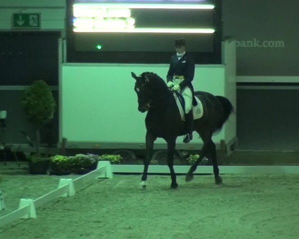 Reitturnier Mönchengladbach-Abtshof 2015