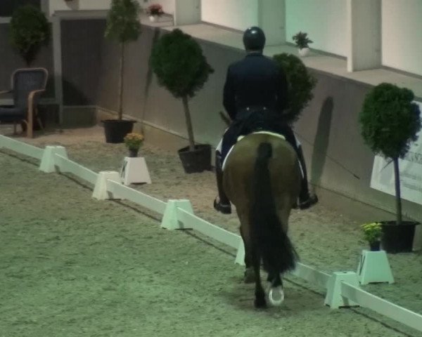 Reitturnier Mönchengladbach-Abtshof 2015