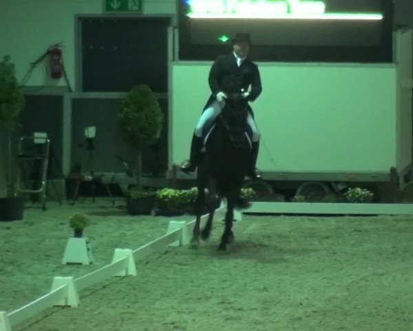 Reitturnier Mönchengladbach-Abtshof 2015