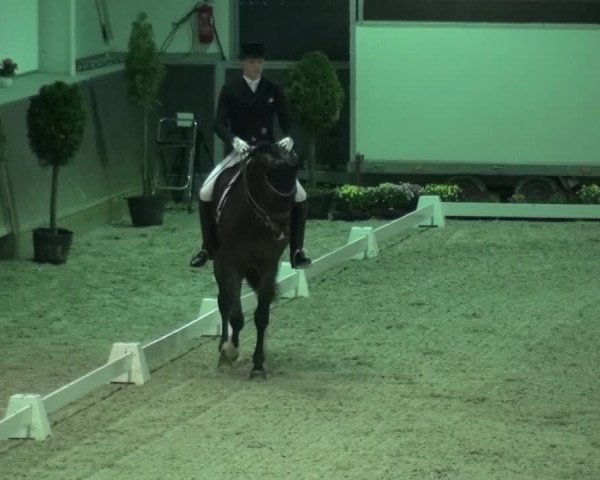 Reitturnier Mönchengladbach-Abtshof 2015