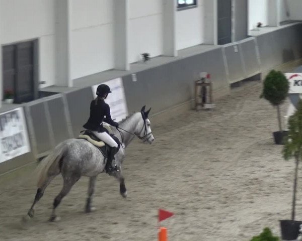 Reitturnier Mönchengladbach-Abtshof 2015