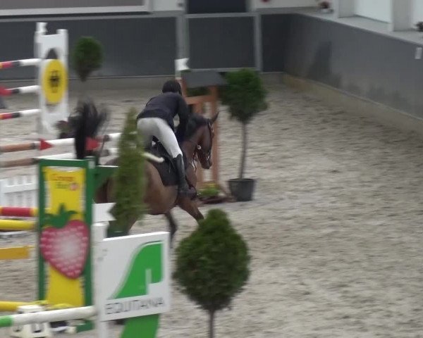 Reitturnier Mönchengladbach-Abtshof 2015