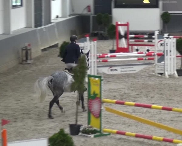 Reitturnier Mönchengladbach-Abtshof 2015