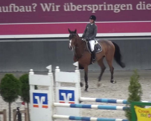 Reitturnier Mönchengladbach-Abtshof 2015