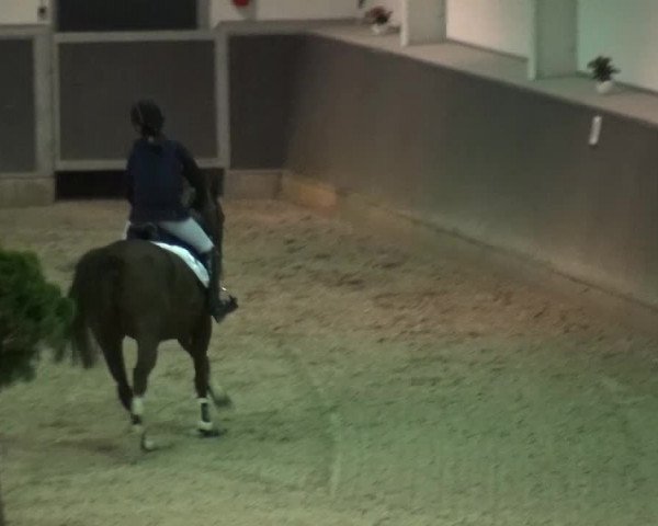 Reitturnier Mönchengladbach-Abtshof 2015